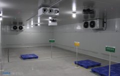 ���չ�֥���`֥������찲�b���참��